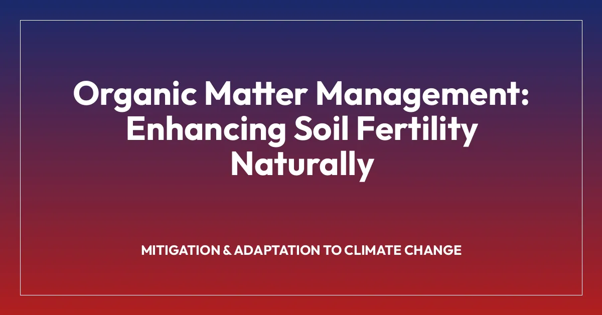 Organic Matter Management: Enhancing Soil Fertility Naturally