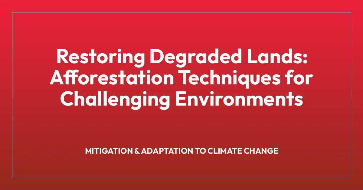 Restoring Degraded Lands: Afforestation Techniques for Challenging Environments